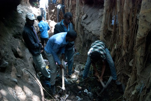 VD Ireecha 2016-4.jpg