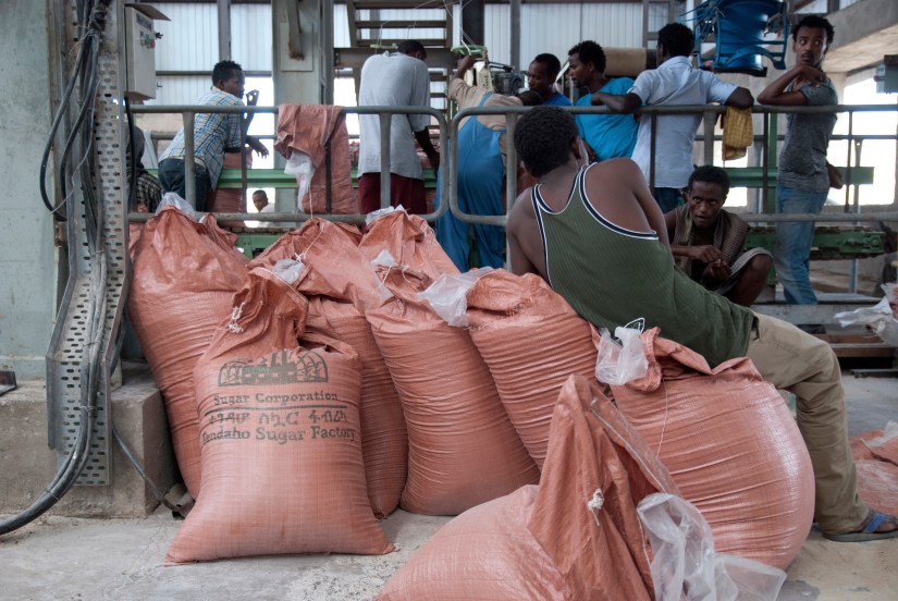 Juin 2015 - Dans la Tendaho Sugar factory, construite dans le se